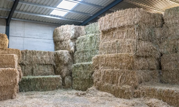 The basics of storing hay