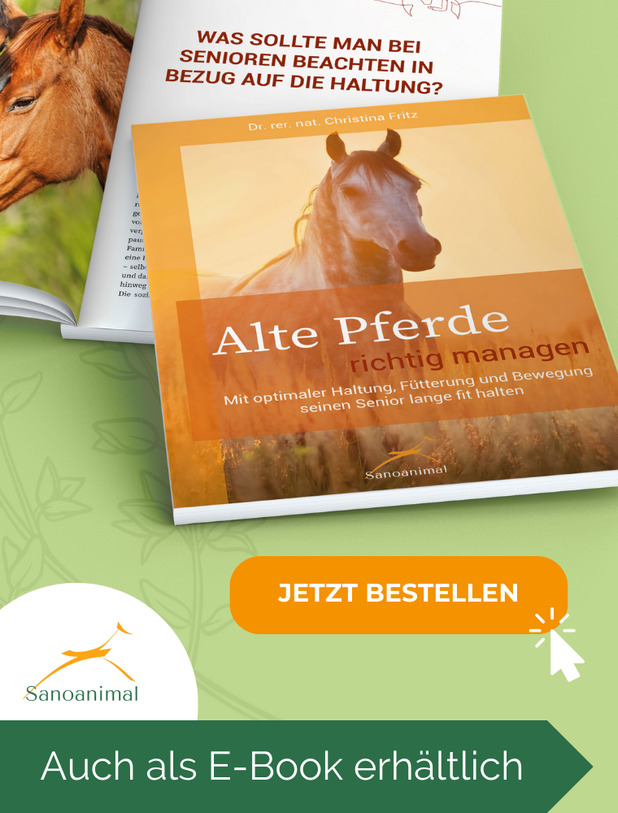 Alte Pferde katalog, auch als E-book erhältlich